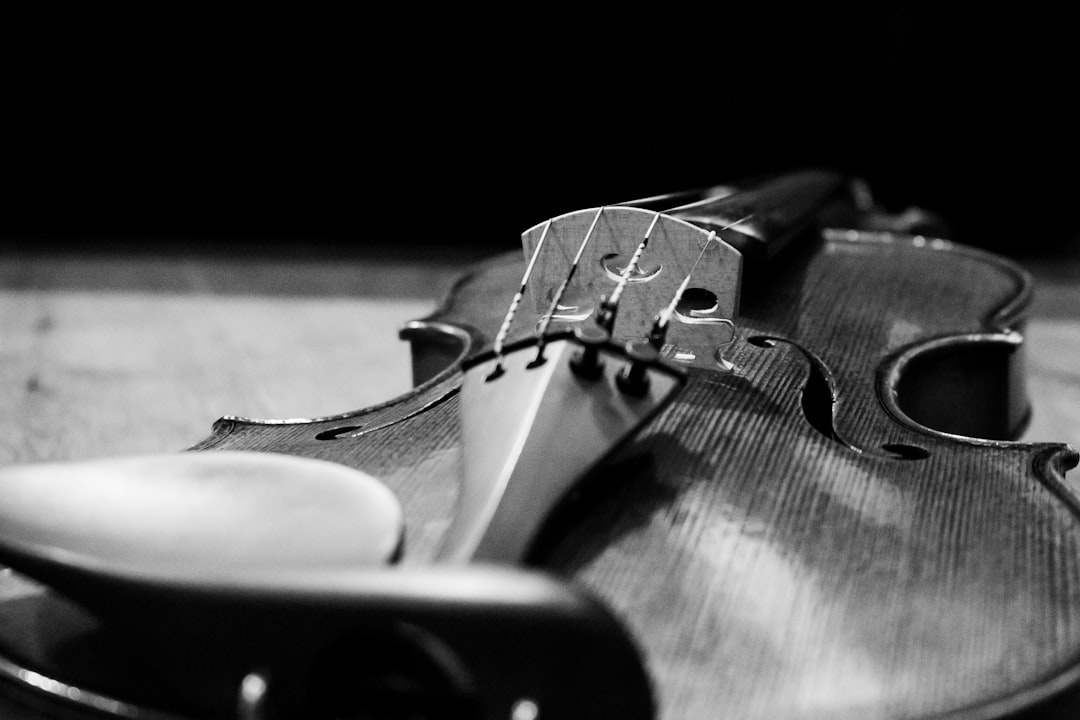 custom violin workshop